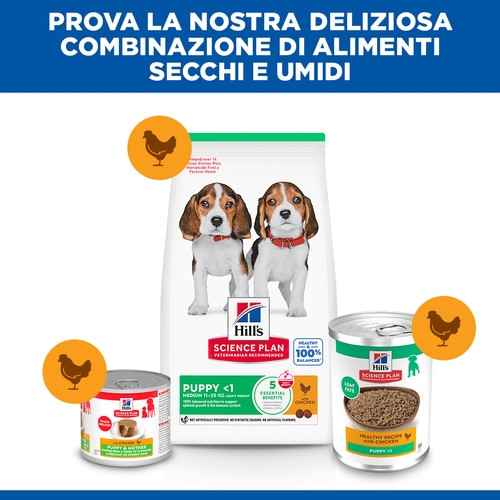 Hill's Puppy (Cucciolo) umido con pollo per cane (370 g)