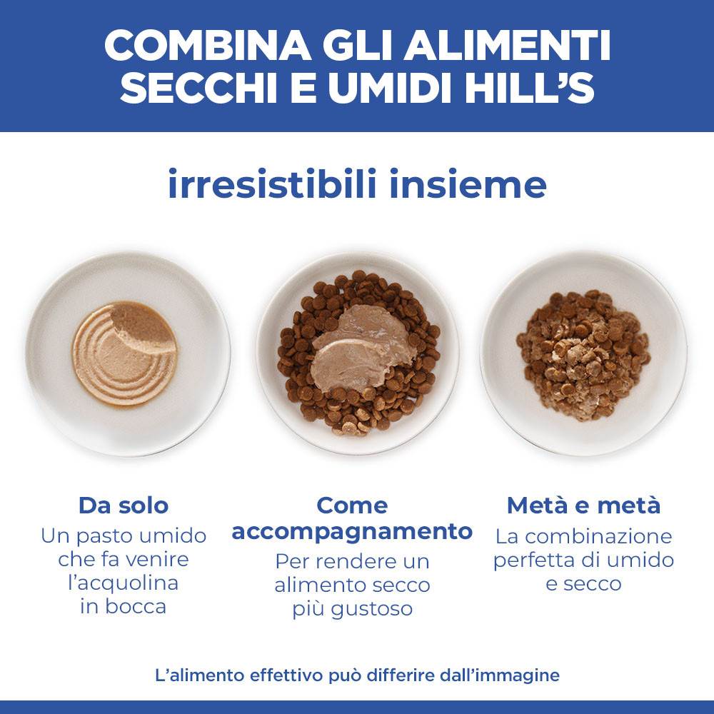 Hill's Adult Perfect Digestion Small & Mini mousse met kalkoen natvoer hond