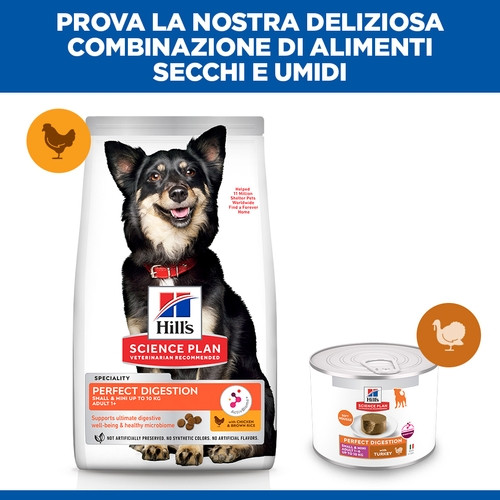 Hill's Adult Perfect Digestion Small & Mini mousse met kalkoen natvoer hond