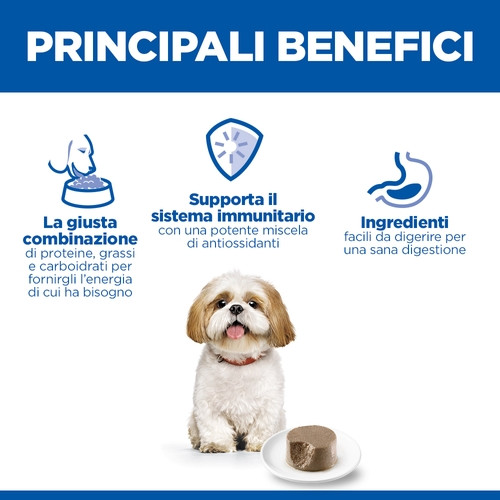 Hill's Mature Adult 7+  Small & Mini mousse met kip natvoer hond