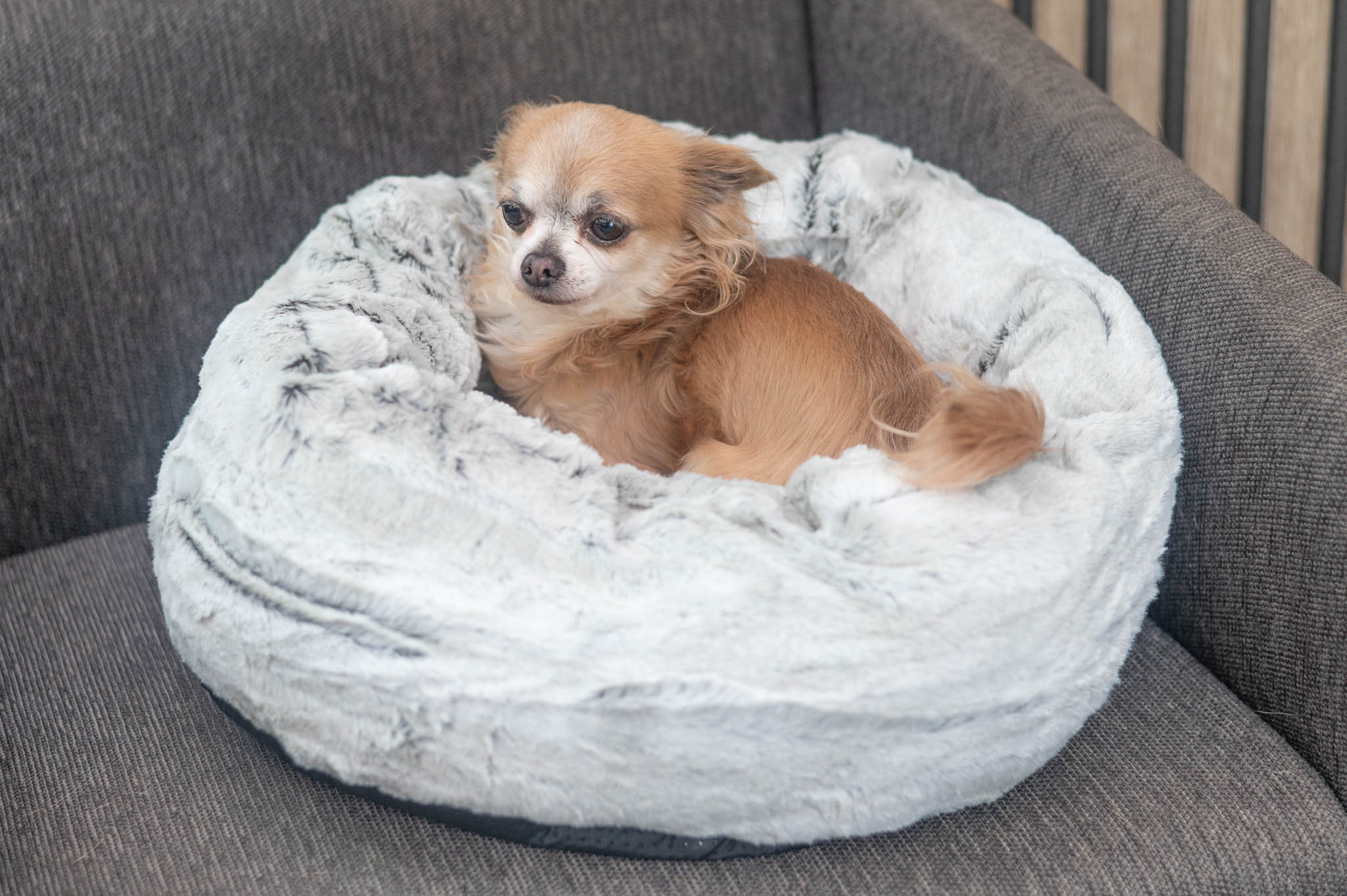 Jack & Vanilla ronde hondenmand Tibet