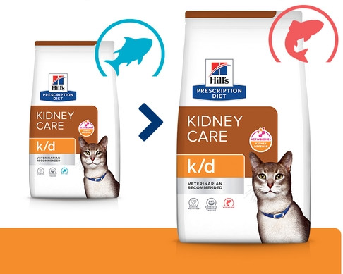 Hill's Prescription Diet K/D Kidney Care con salmone per gatti