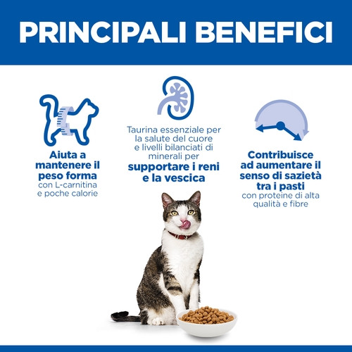 Hill’s Mature Adult 7+ Light per gatto con pollo