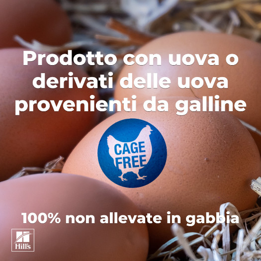 Hill's Kitten & Mother Tender Mousse nat kattenvoer met kip en kalkoen blik