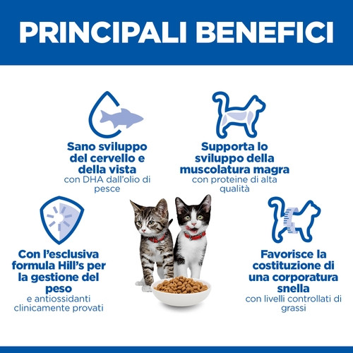 Hill's Kitten Sterilised con pollo per gatto