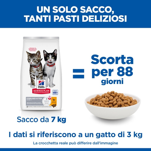 Hill's Kitten Sterilised con pollo per gatto