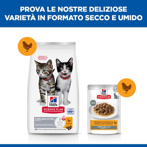 Hill's Kitten Sterilised con pollo per gatto