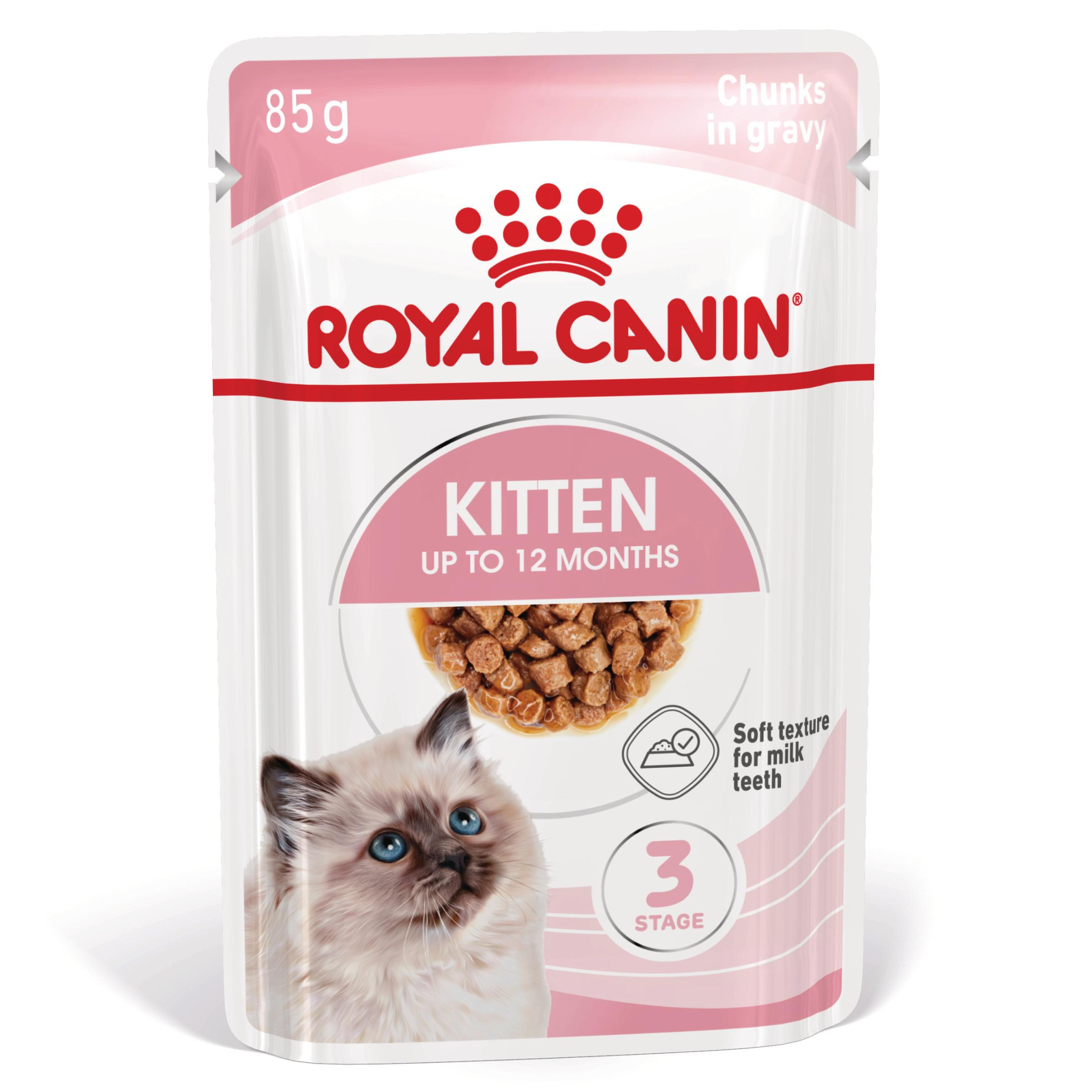 Royal Canin Kitten cibo umido per gattini (in salsa)