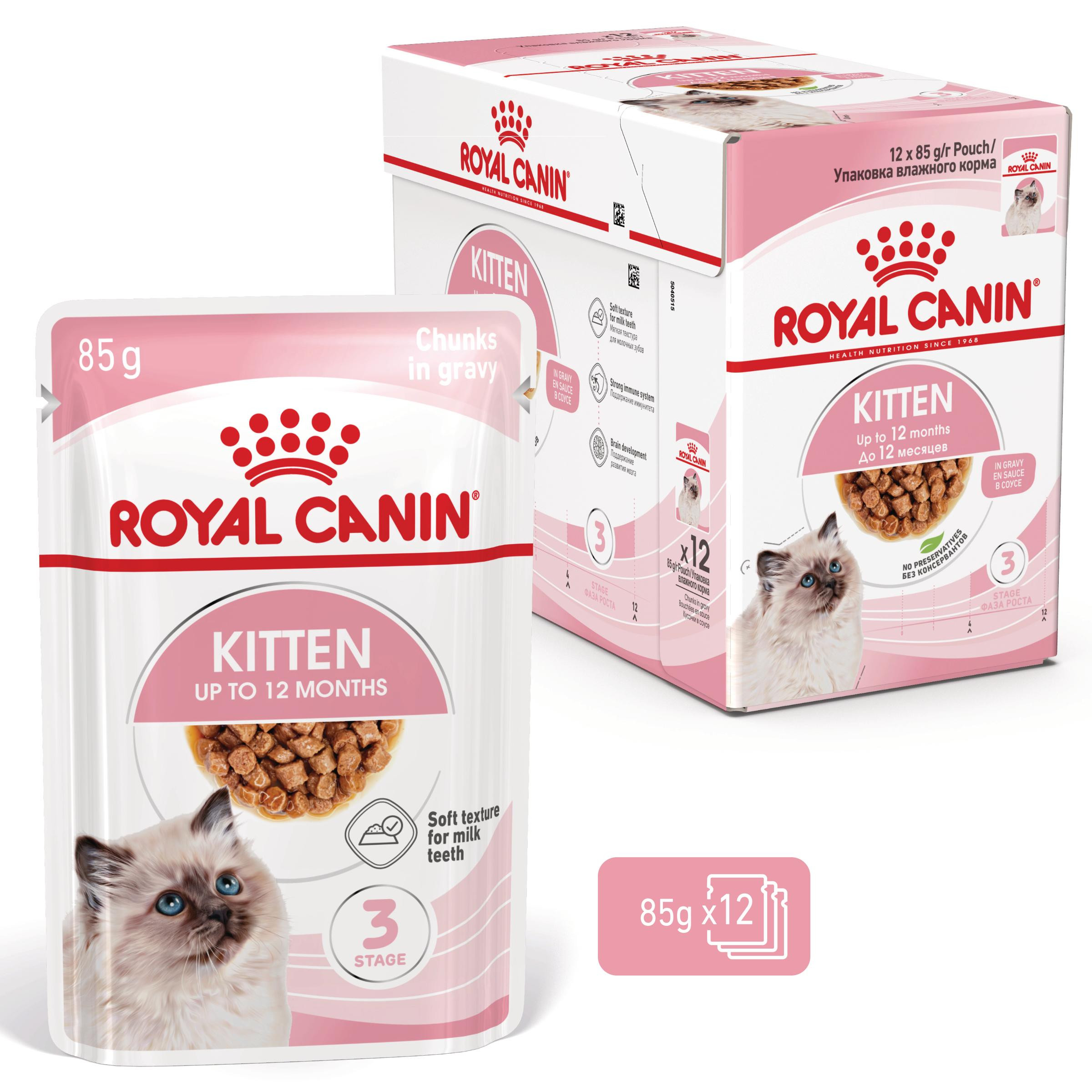Royal Canin Kitten cibo umido per gattini (in salsa)