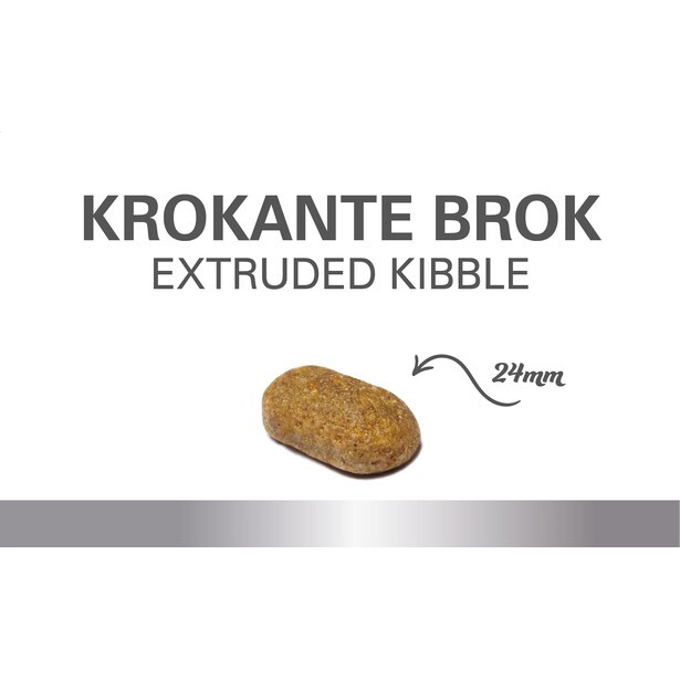 Prins ProCare Croque Hypoallergic con agnello e riso per cane