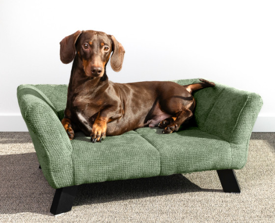 Sofa Damario ligbank rechthoekig voor hond en kat groen