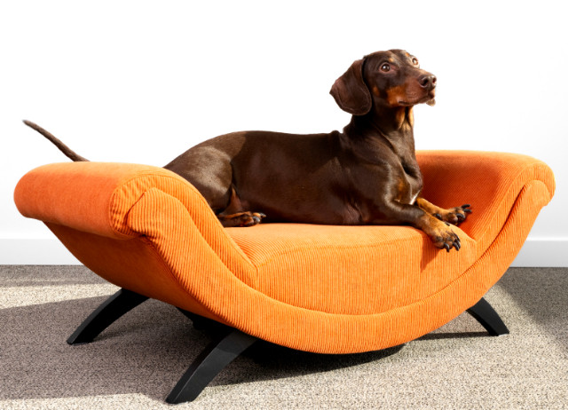 Sofa Dingo ligbank rechthoekig voor hond en kat oranje