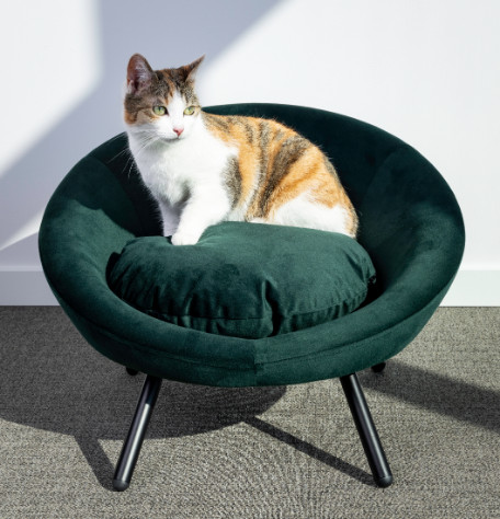 Sofa Dolco ligstoel rond voor hond en kat groen