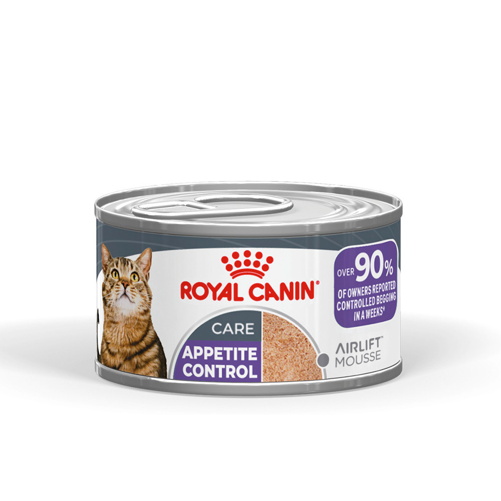 Royal Canin Appetite Control Airlift cibo umido per gatto (mousse)