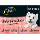 Cesar Adult Selezione in salsa multipack umido per cane in bustine (100 g)