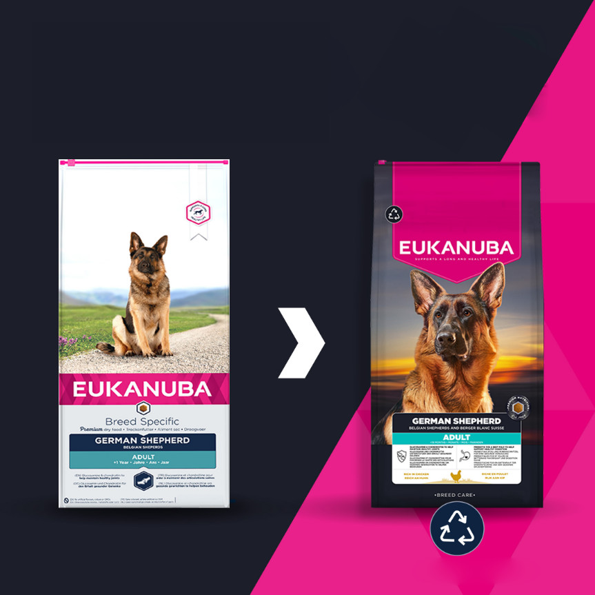 Eukanuba Adult cane Pastore Tedesco