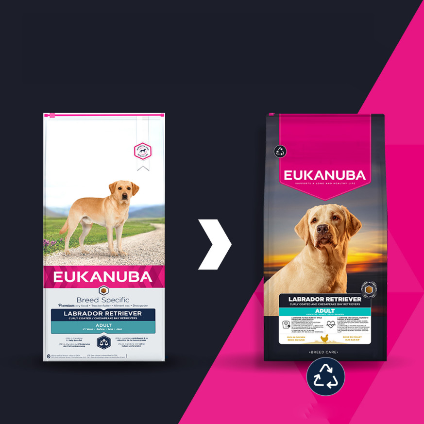 Eukanuba Adult cane Labrador Retriever