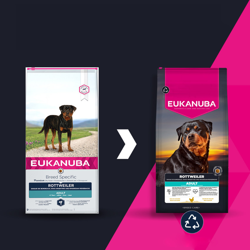 Eukanuba Adult cane Rottweiler