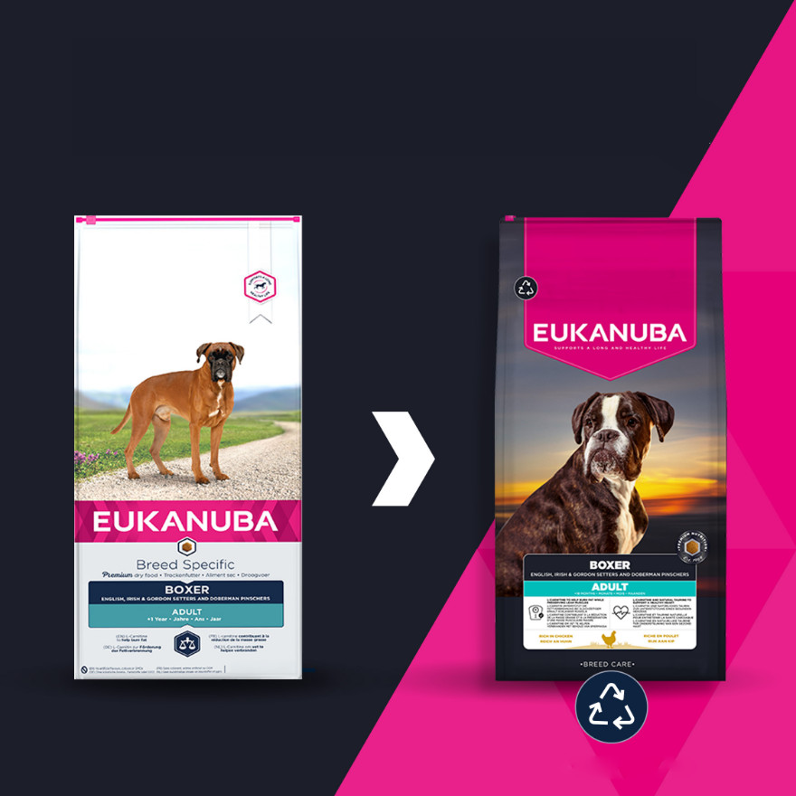 Eukanuba Adult cane Boxer