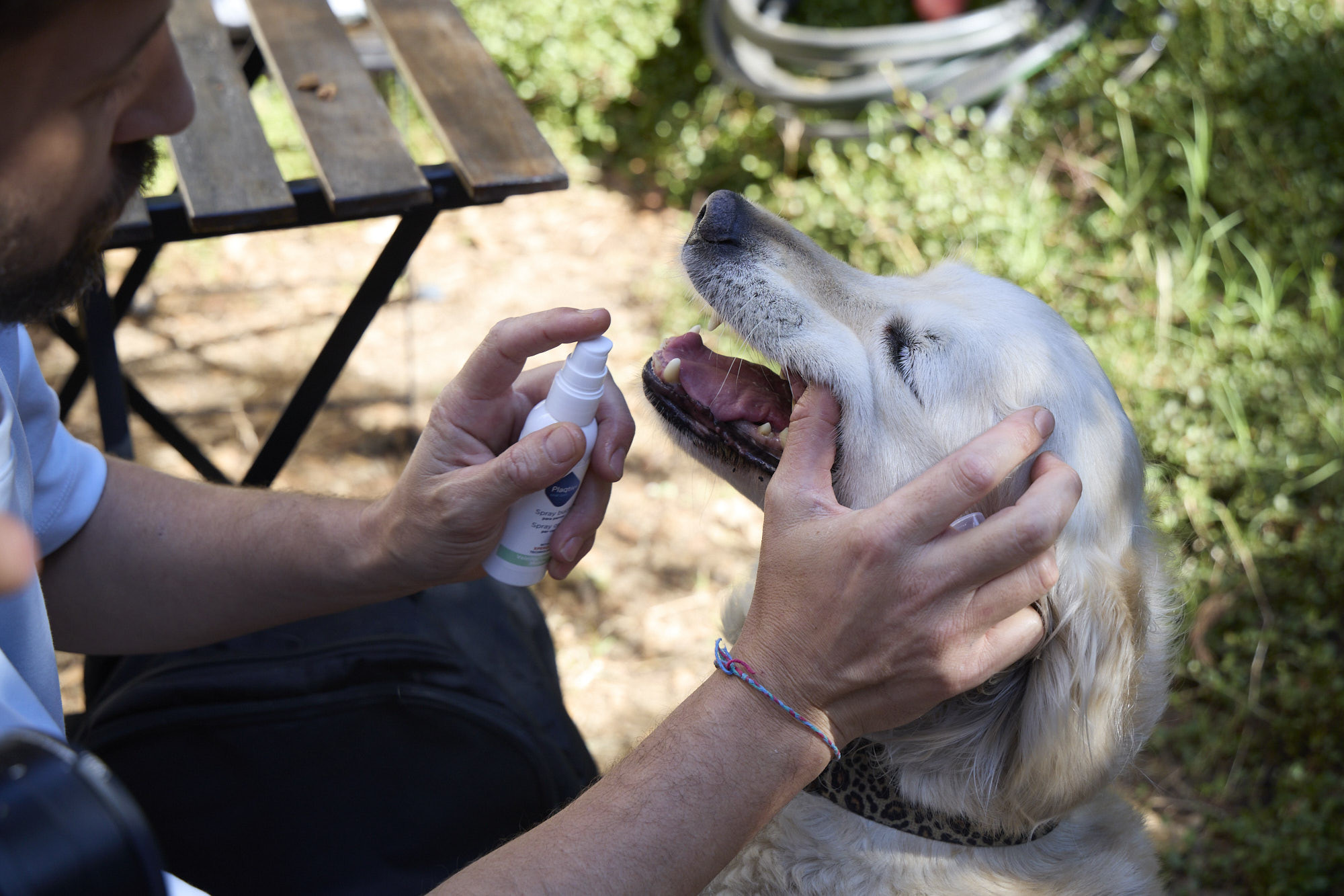 Plaqtiv+ Oral Care Mondspray met vanille en munt voor de hond