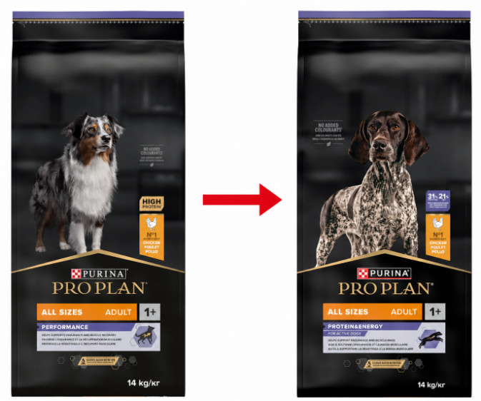 Pro Plan All Sizes Adult Protein & Energy con pollo per cane