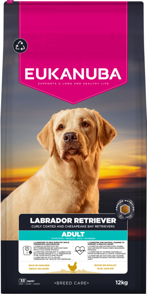 Eukanuba Labrador Retriever Adult per cane