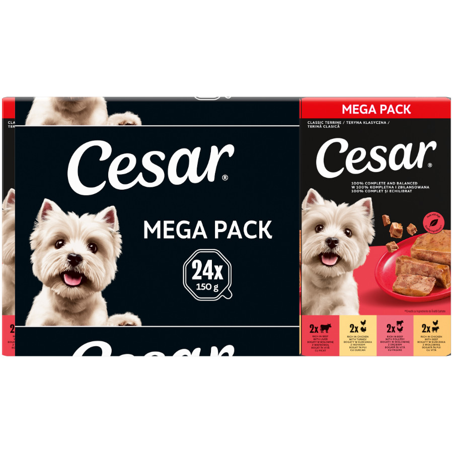 Cesar Classic Mix Paté multipack natvoer hond maaltijdkuipjes 150gr