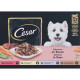 Cesar Adult Selezione in salsa multipack umido per cane in bustine (100 g)