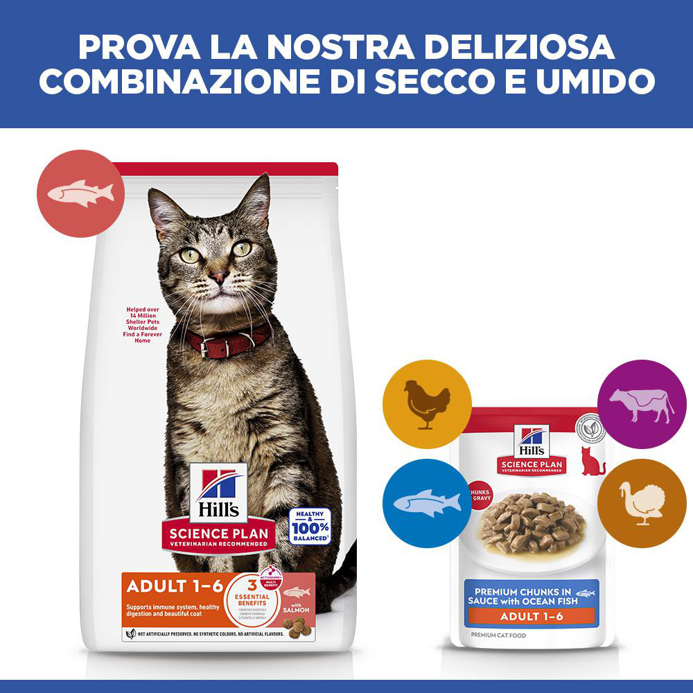 Hill’s Adult con pesce di mare cibo umido per gatto 85 g
