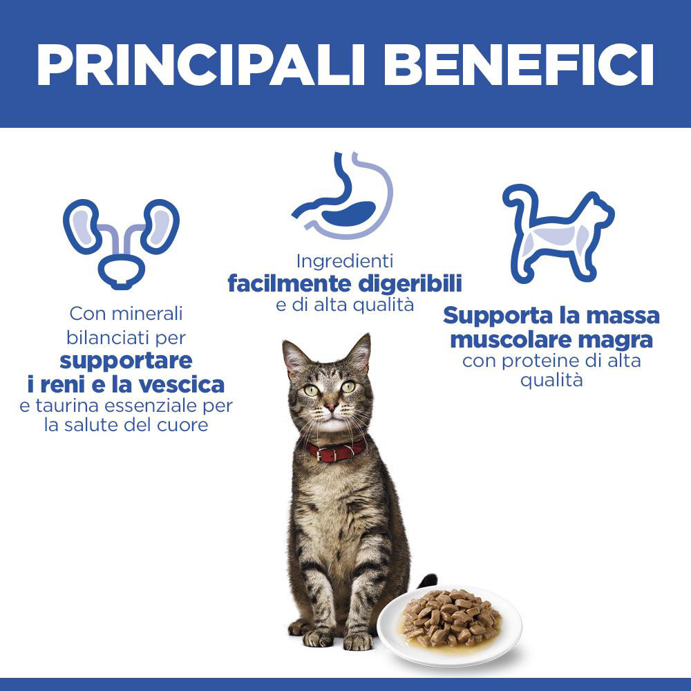 Hill’s Adult con pesce di mare cibo umido per gatto 85 g