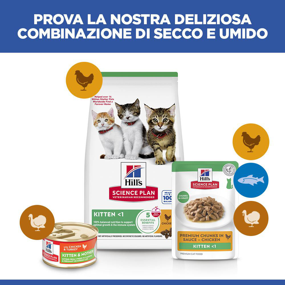 Hill's Kitten nat kattenvoer met kip maaltijdzakje multipack