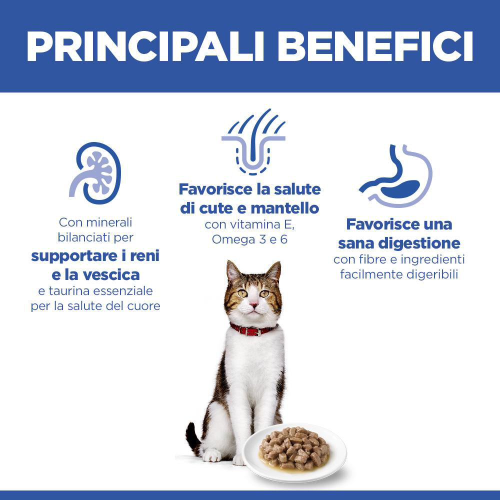Hill's Mature Adult 7+ nat kattenvoer met kip maaltijdzakje multipack