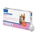 Virbac Allerderm spot-on (riparo cutaneo) per gatti e cani di piccola taglia (fino a 10 kg)
