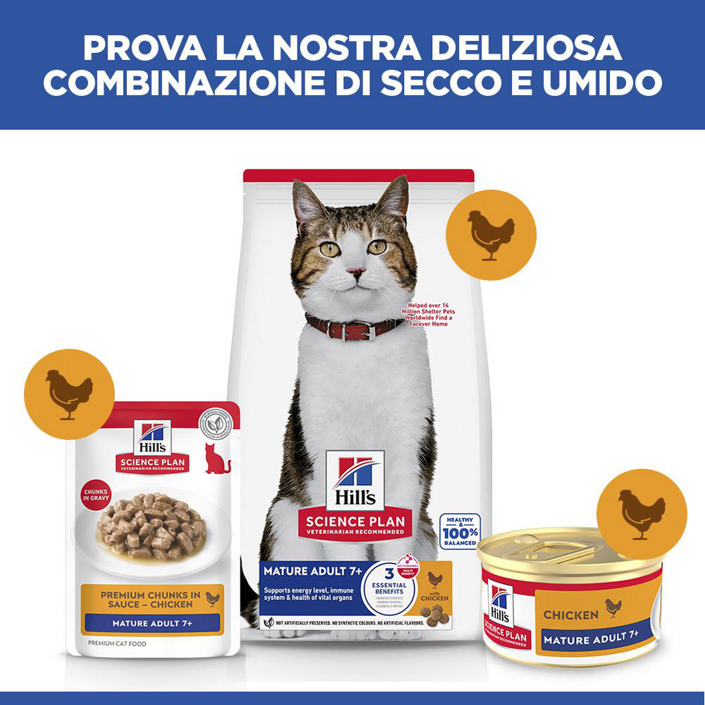 Hill's Mature Adult cibo umido con salmone per gatto (mousse, lattine)