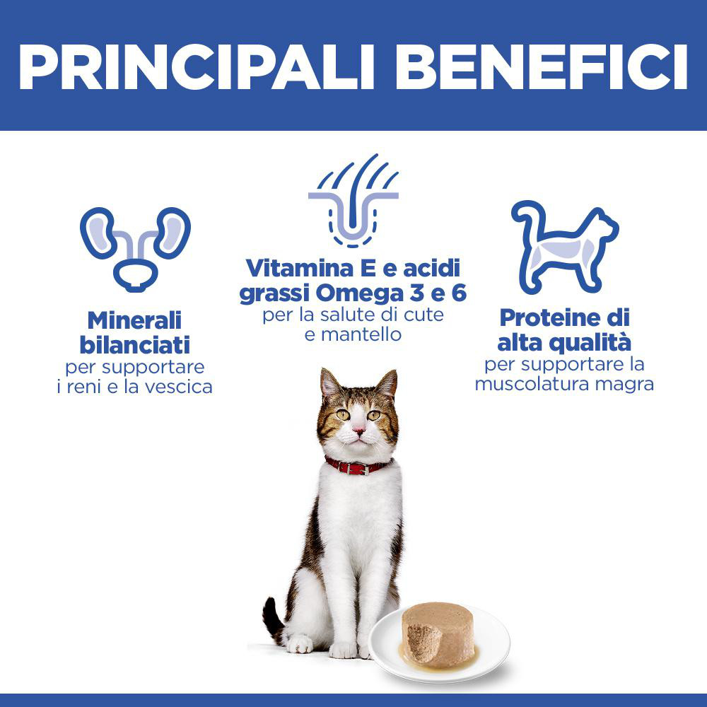 Hill's Mature Adult cibo umido con salmone per gatto (mousse, lattine)