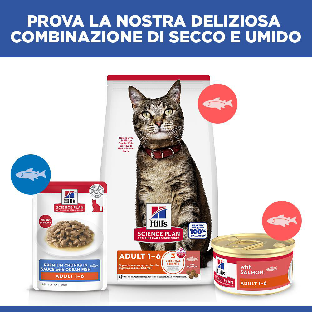 Hill's Adult cibo umido con salmone per gatto (mousse, lattine)