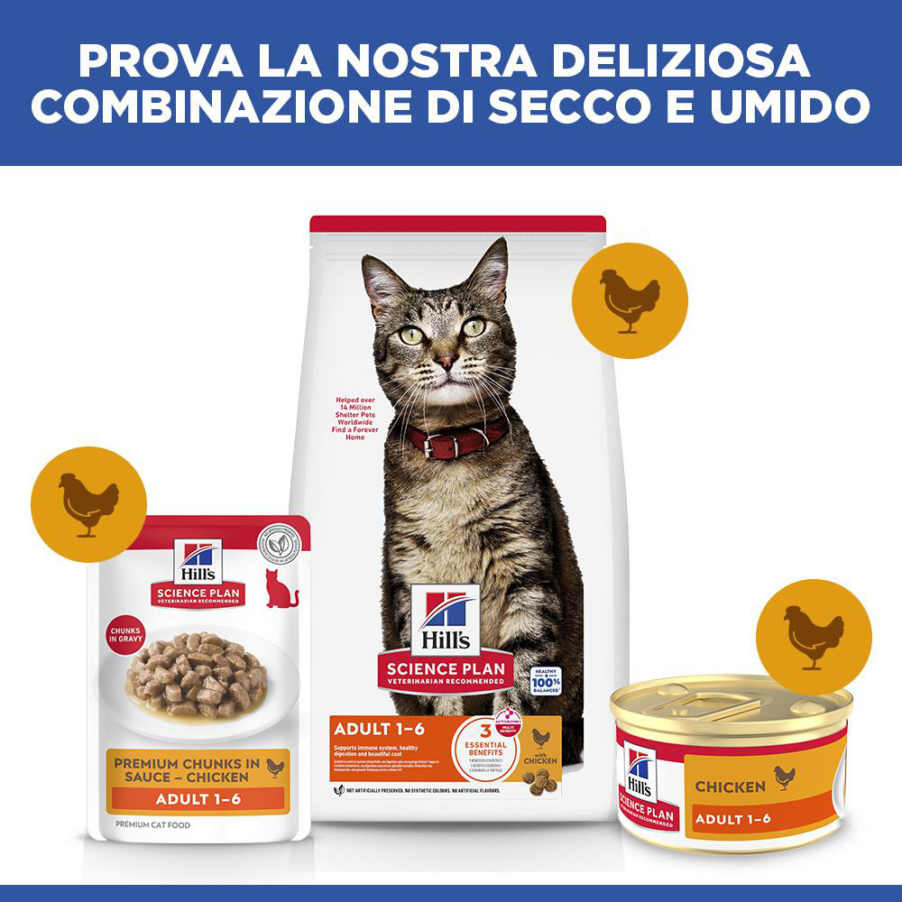 Hill's Adult cibo umido con pollo per gatto (mousse, lattine)
