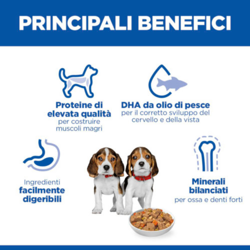Hill's Puppy cibo umido con pollo & verdure per gattino (spezzatino, lattine)