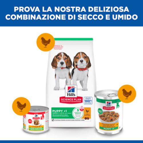 Hill's Puppy cibo umido con pollo & verdure per gattino (spezzatino, lattine)