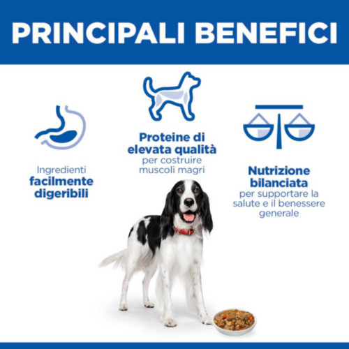 Hill's Adult cibo umido con pollo & verdure per gatto (spezzatino, lattine)