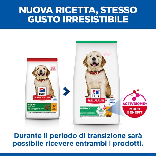 Hill's Puppy (Cucciolo) Large con pollo per cane
