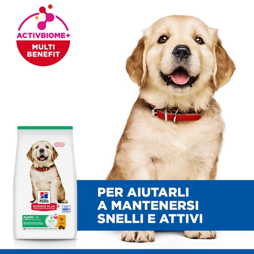 Hill's Puppy (Cucciolo) Large con pollo per cane