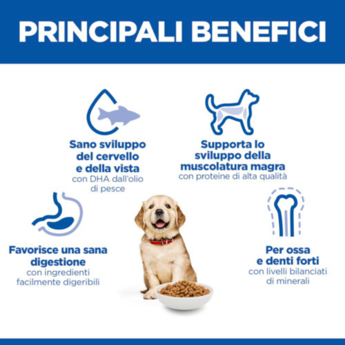 Hill's Puppy (Cucciolo) Large con pollo per cane