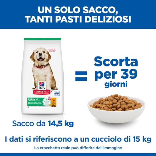 Hill's Puppy (Cucciolo) Large con pollo per cane