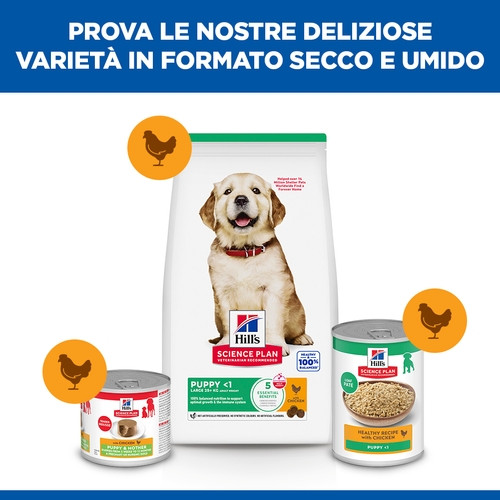 Hill's Puppy (Cucciolo) Large con pollo per cane