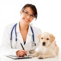 Farmacia per cani