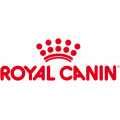 Royal Canin cibo umido per gatti