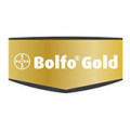 Bolfo Gold gatto
