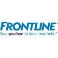 Frontline gatto