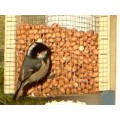 Mangime per uccelli per specie